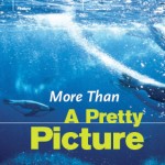 pretty-pic-img